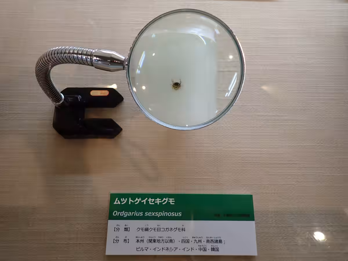 画像18