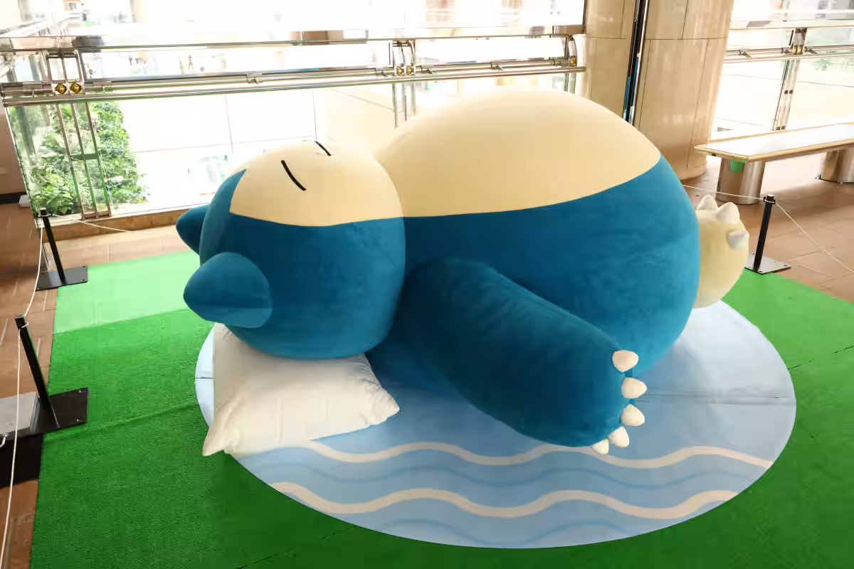 画像7