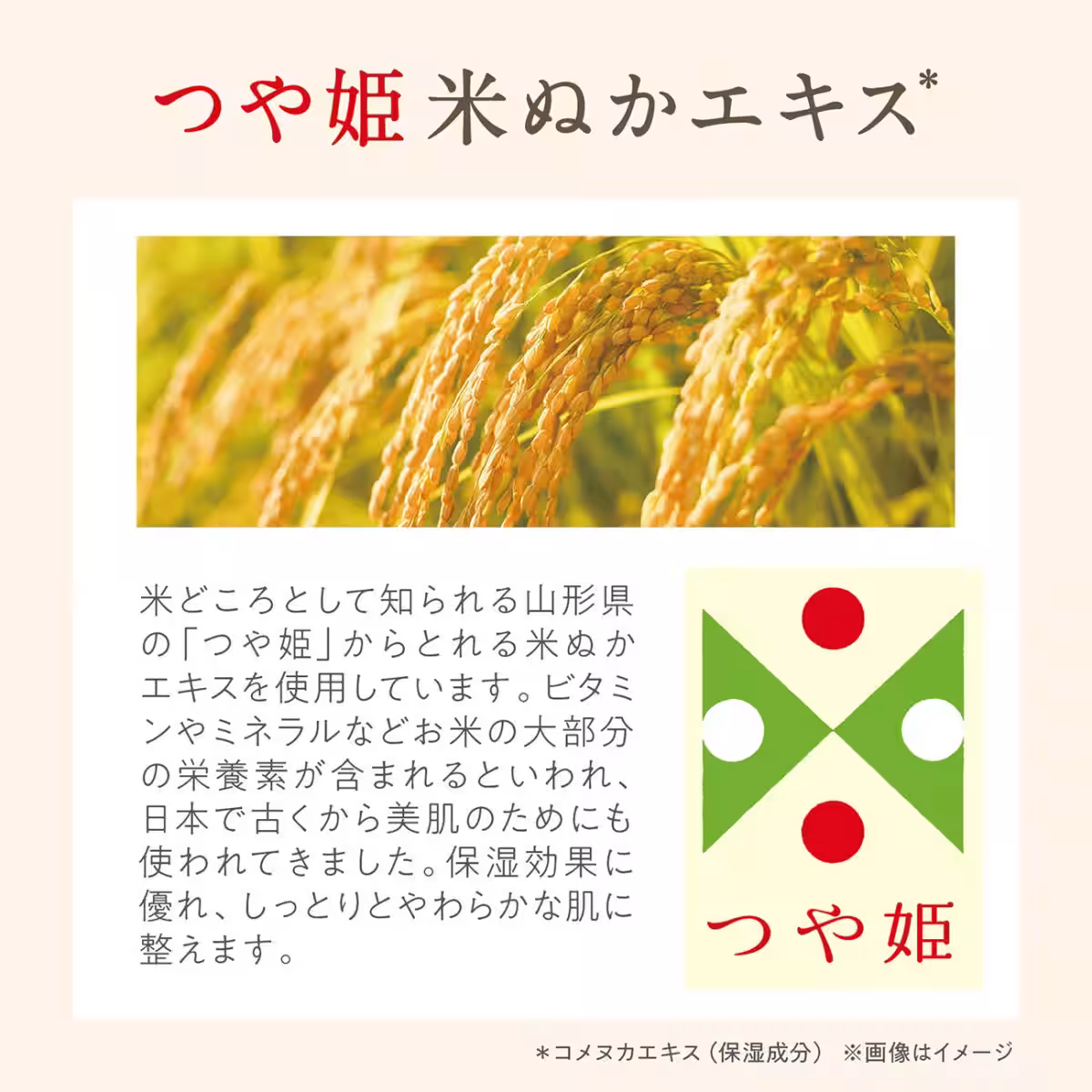 画像12