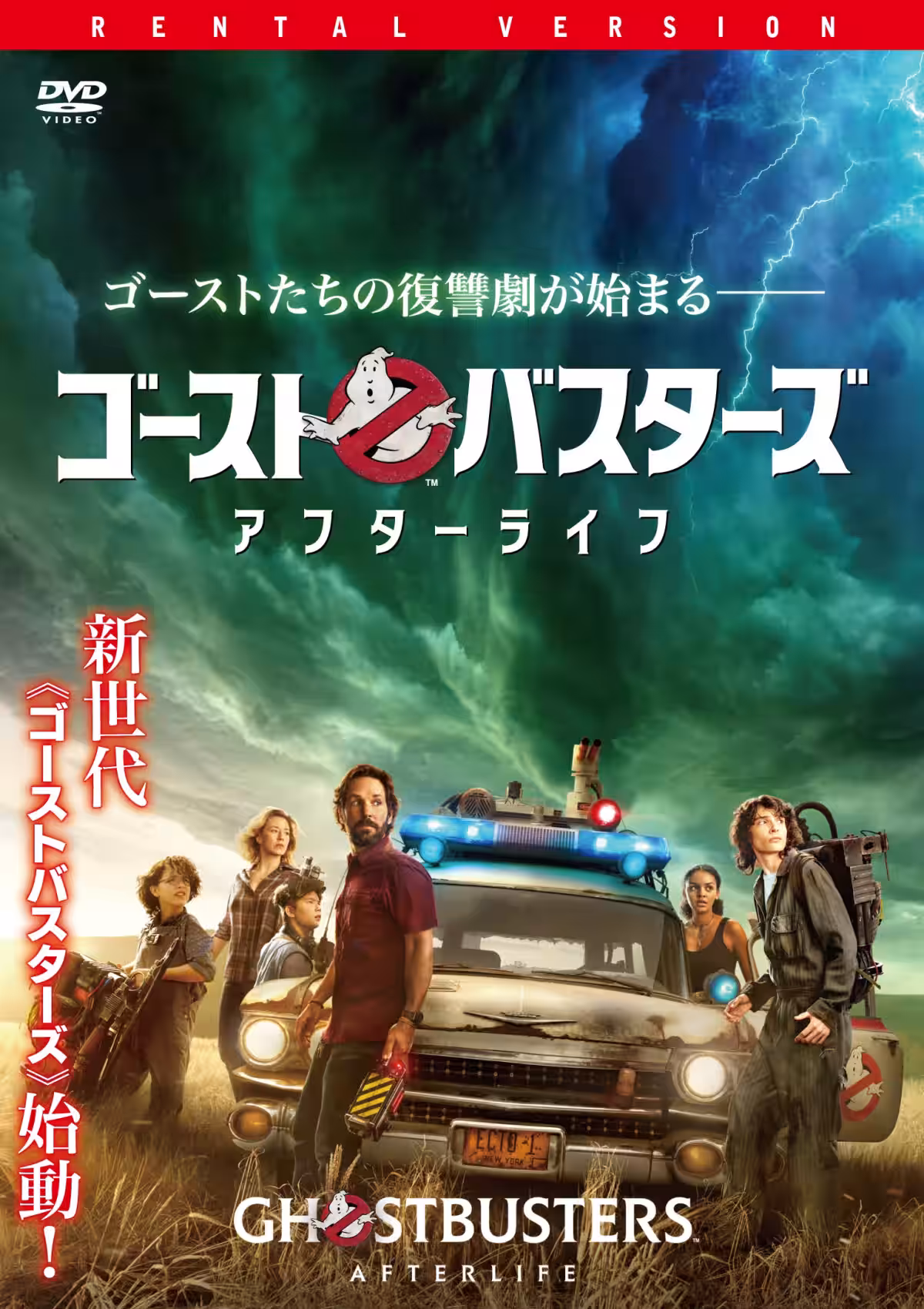 画像14