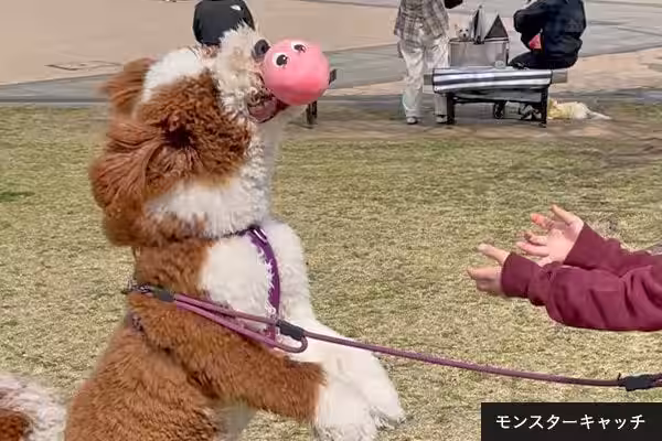 画像4