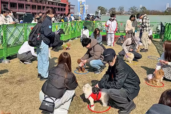 画像11