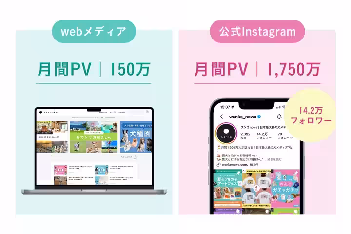 画像13