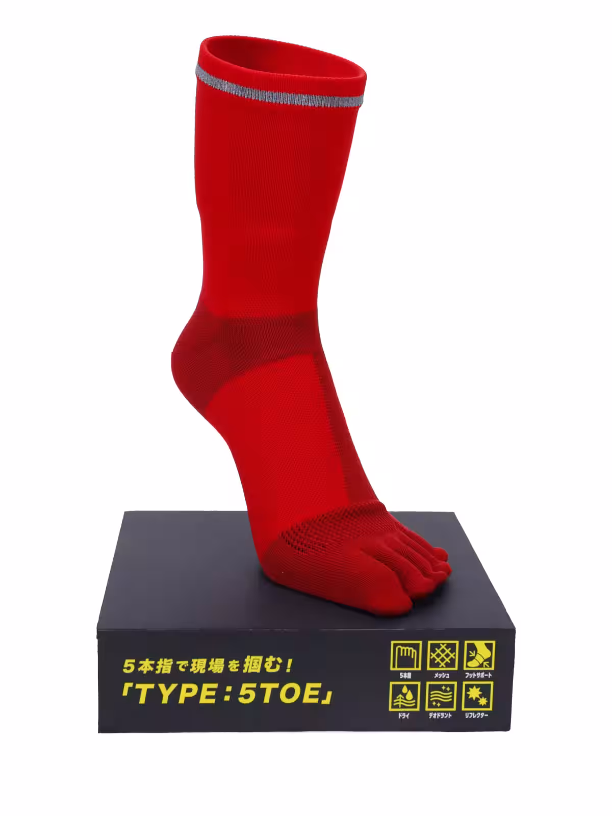 画像4