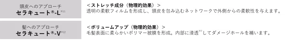 画像15