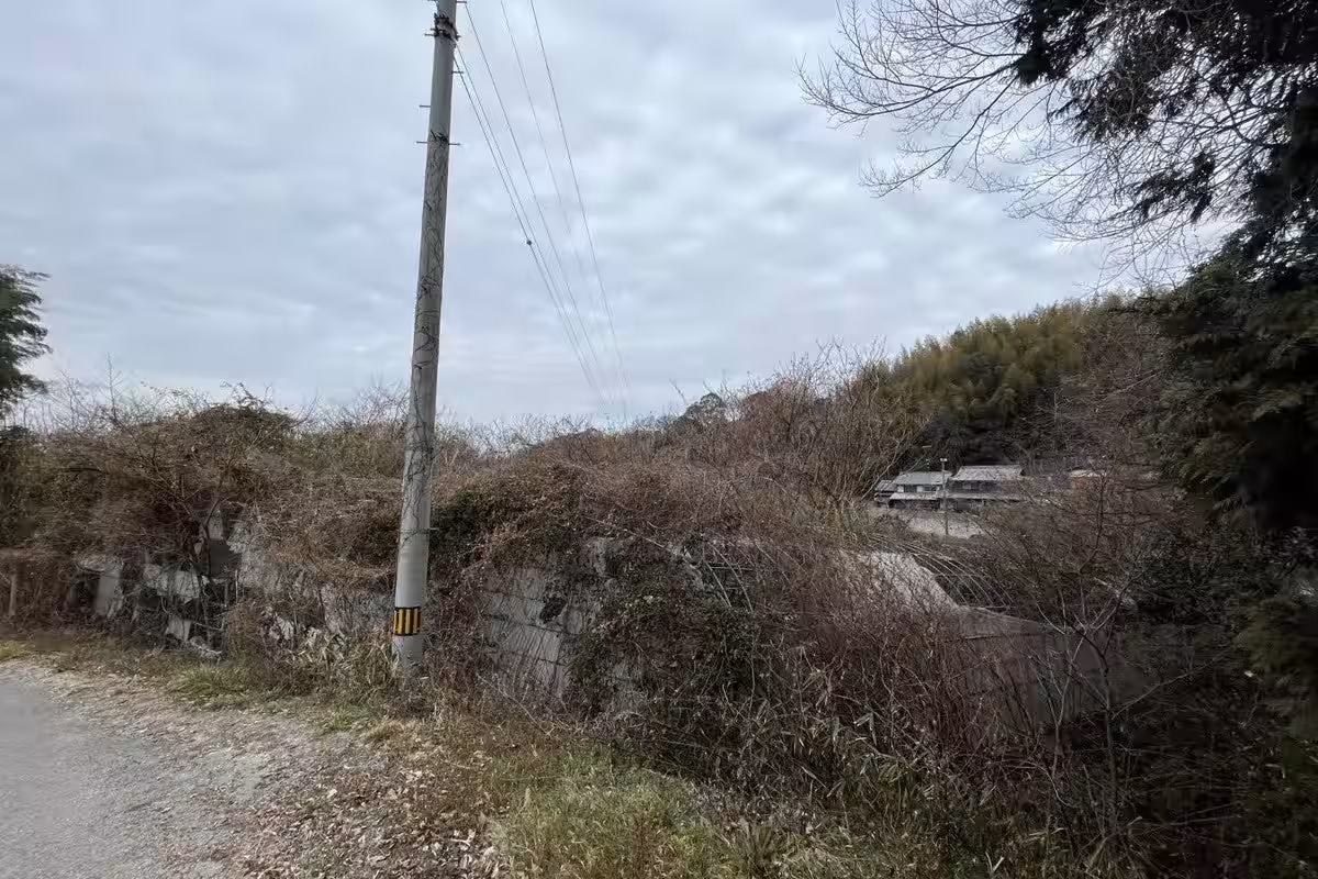 画像12