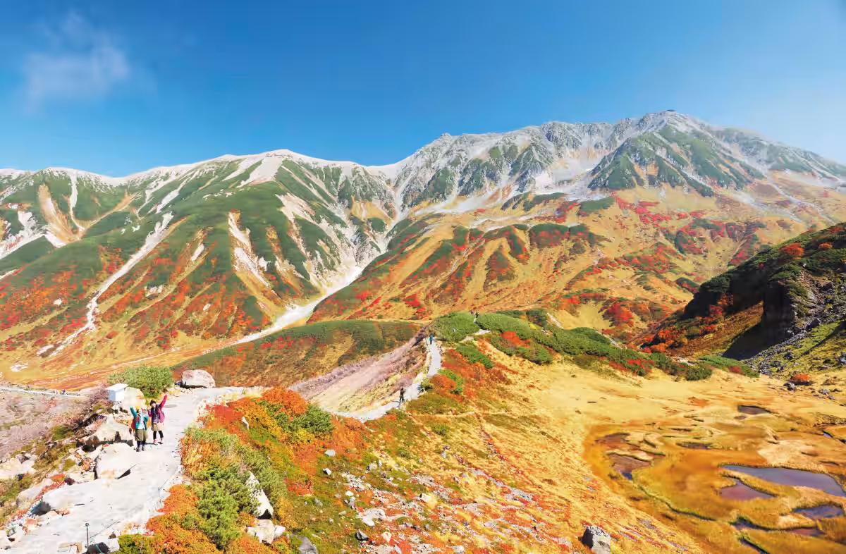 画像5