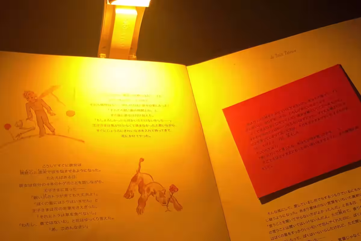 画像2