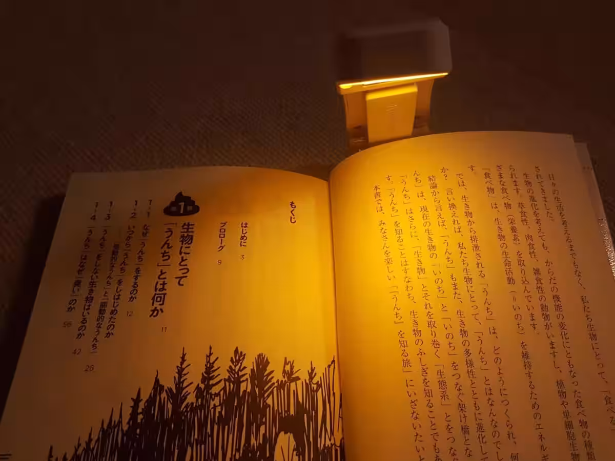 画像5