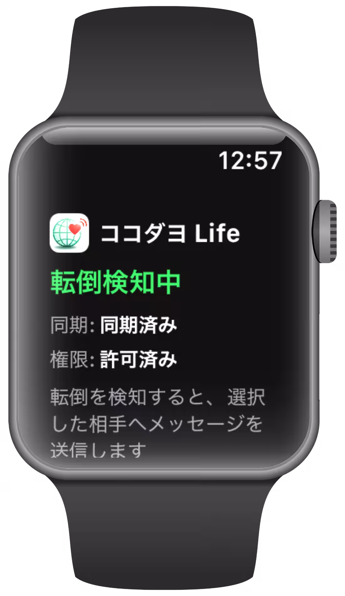 画像4