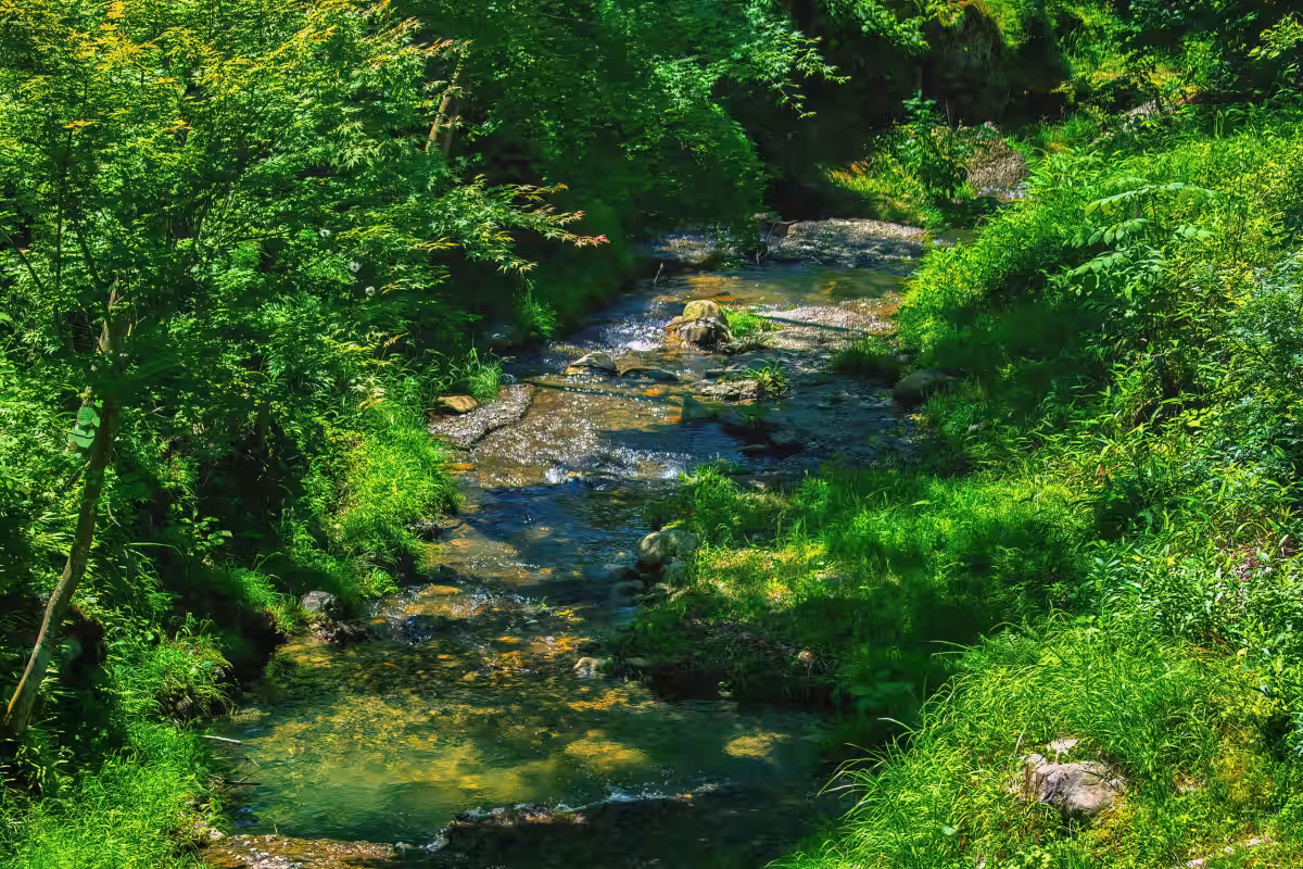 画像13