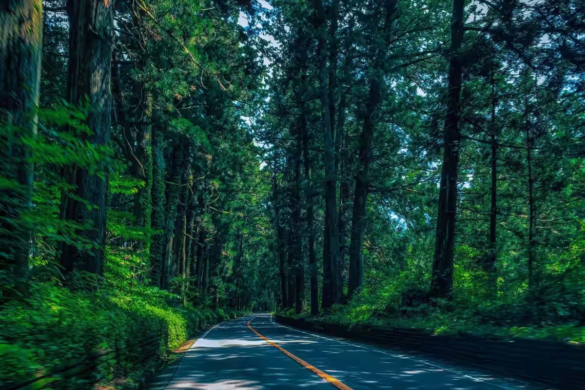 画像7