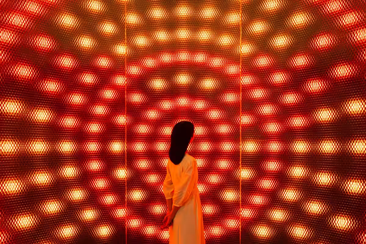 画像8