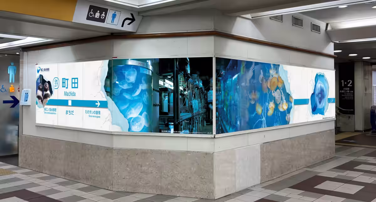 画像6