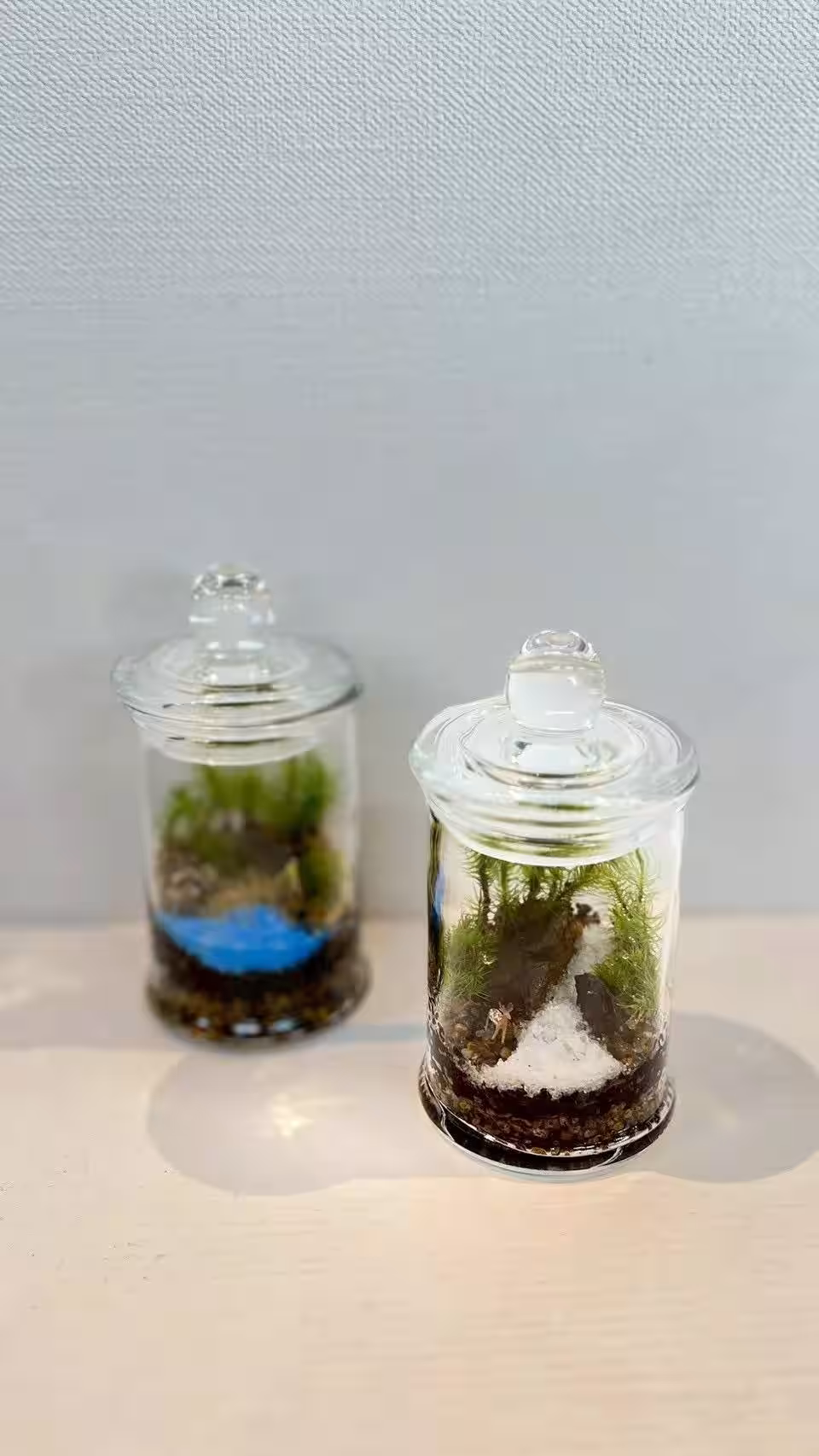 画像24