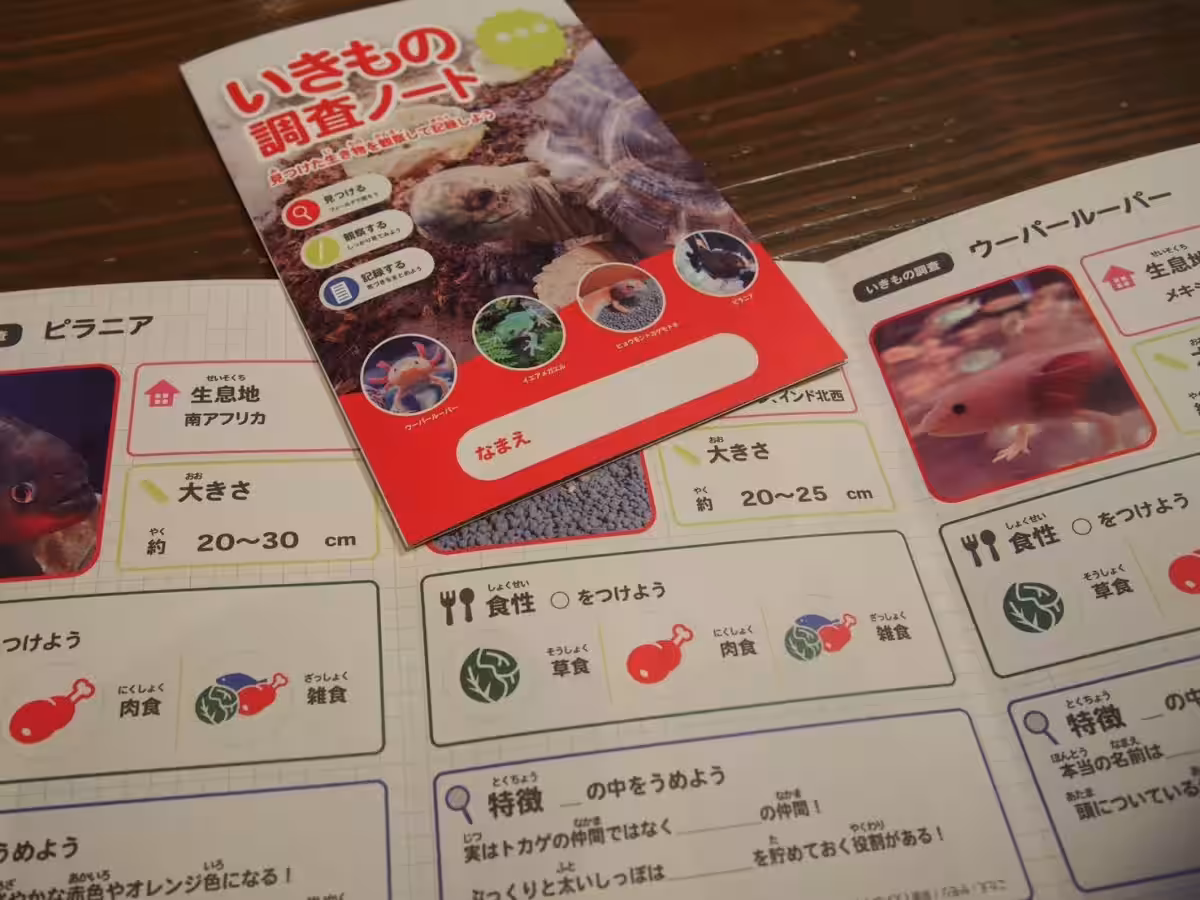 画像23