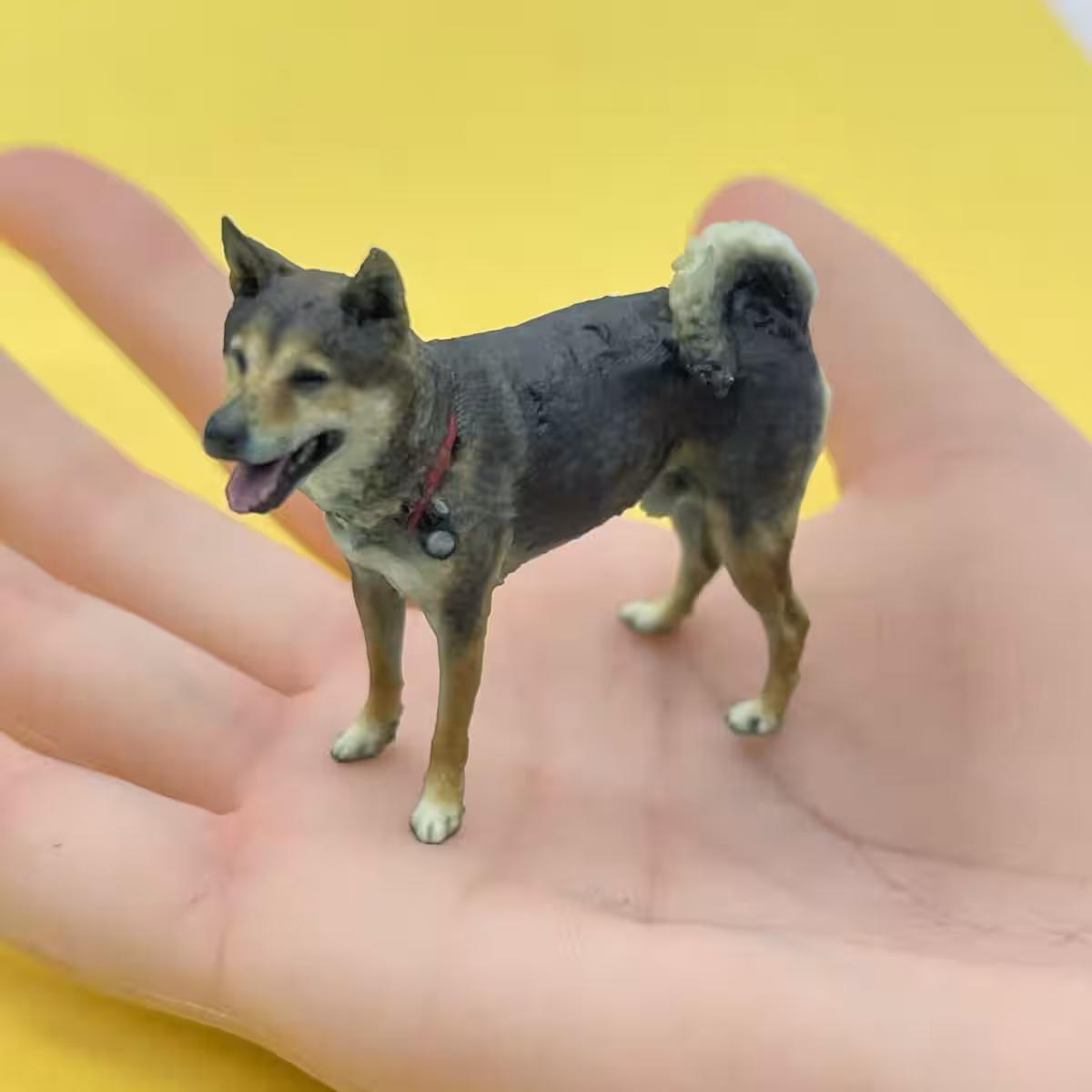 画像7