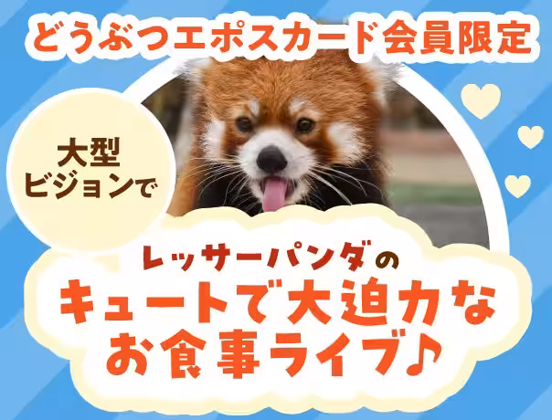 画像11