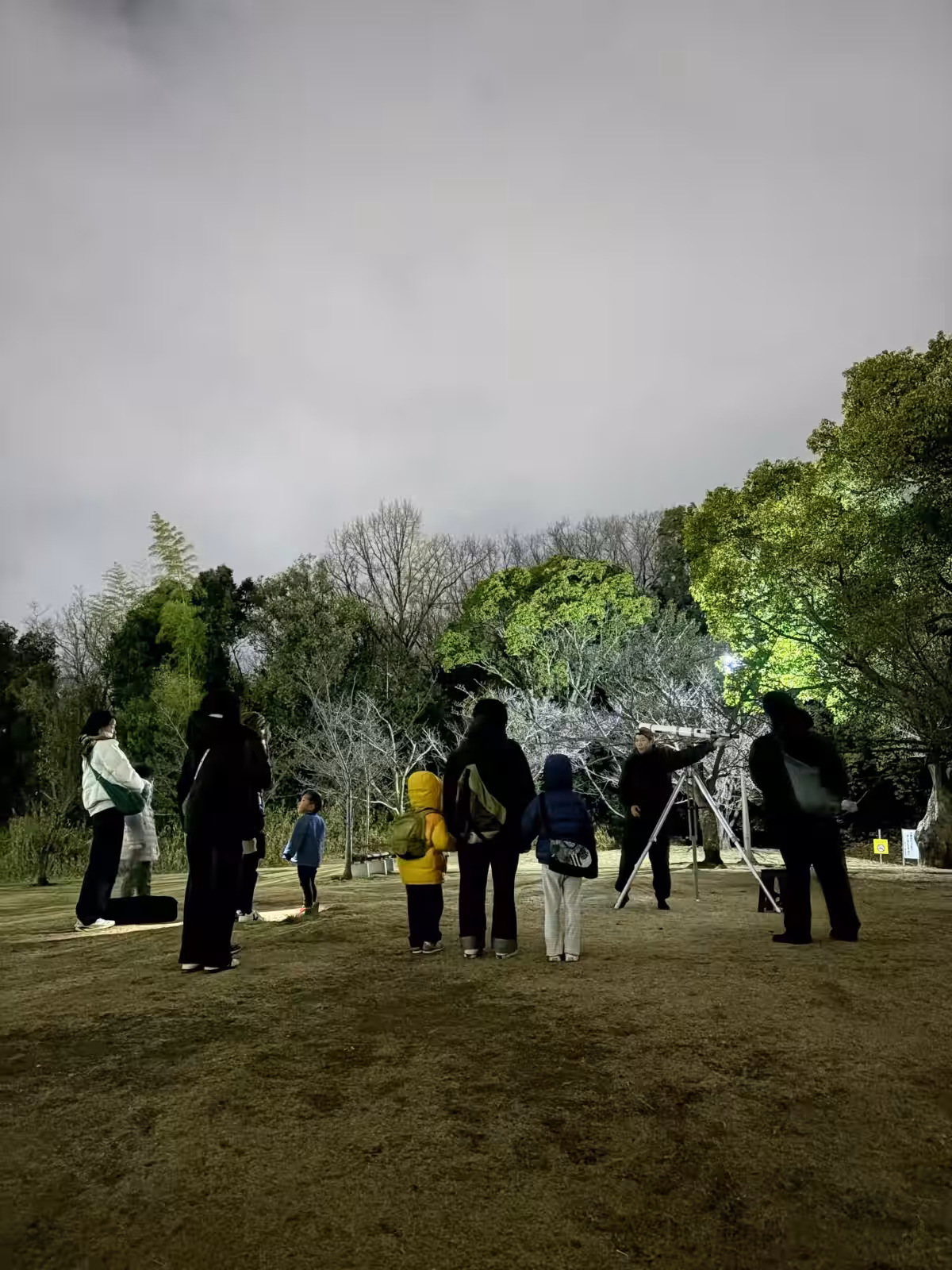 画像13