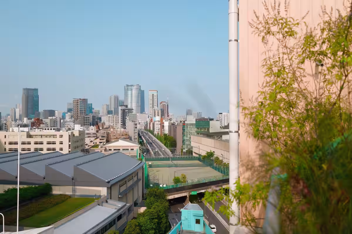 画像5