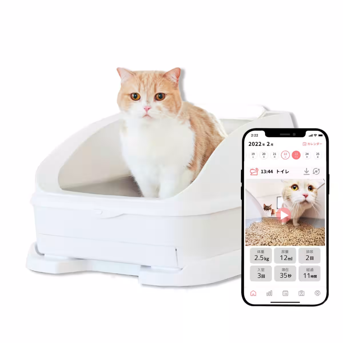 画像3