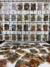 画像12