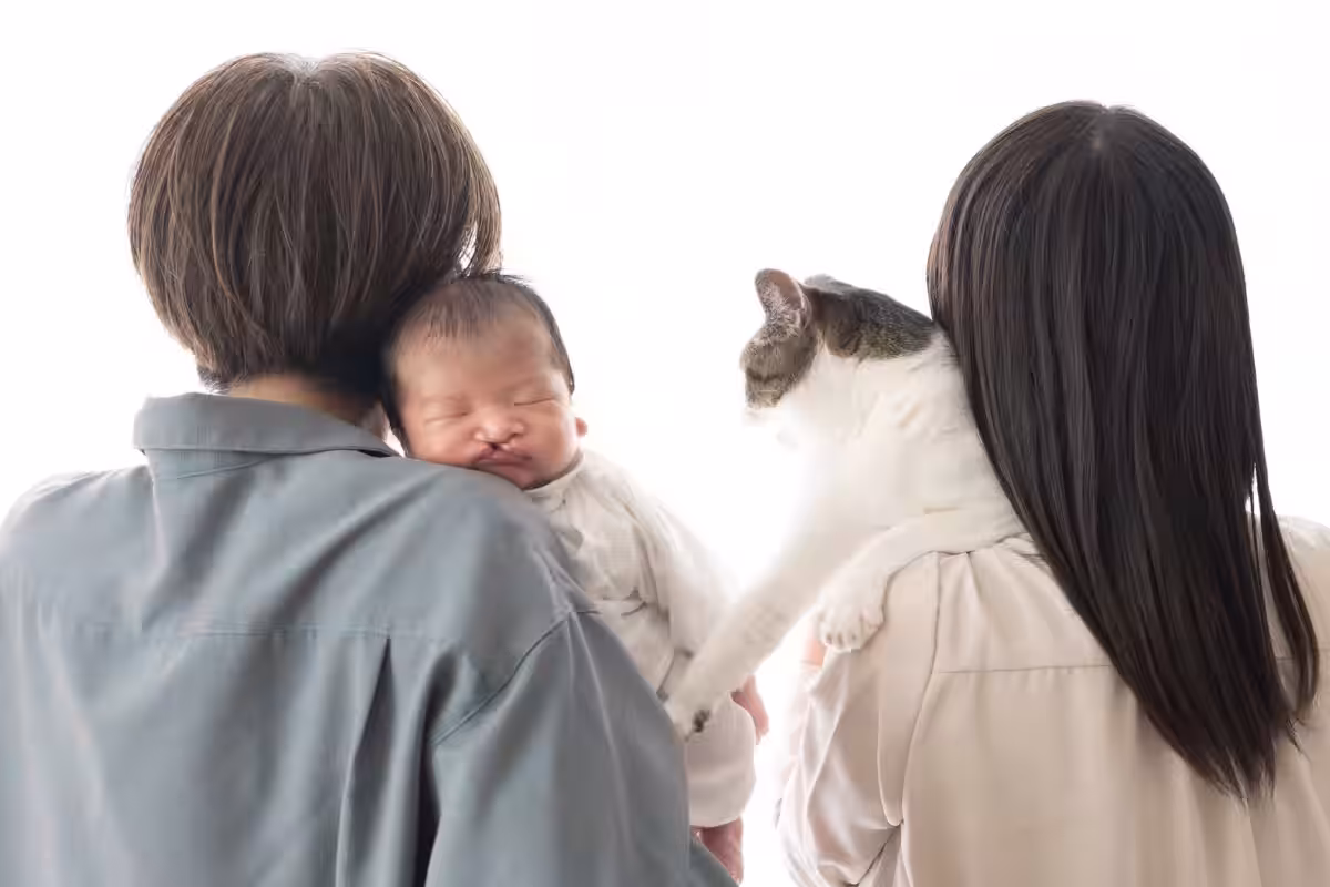 画像5