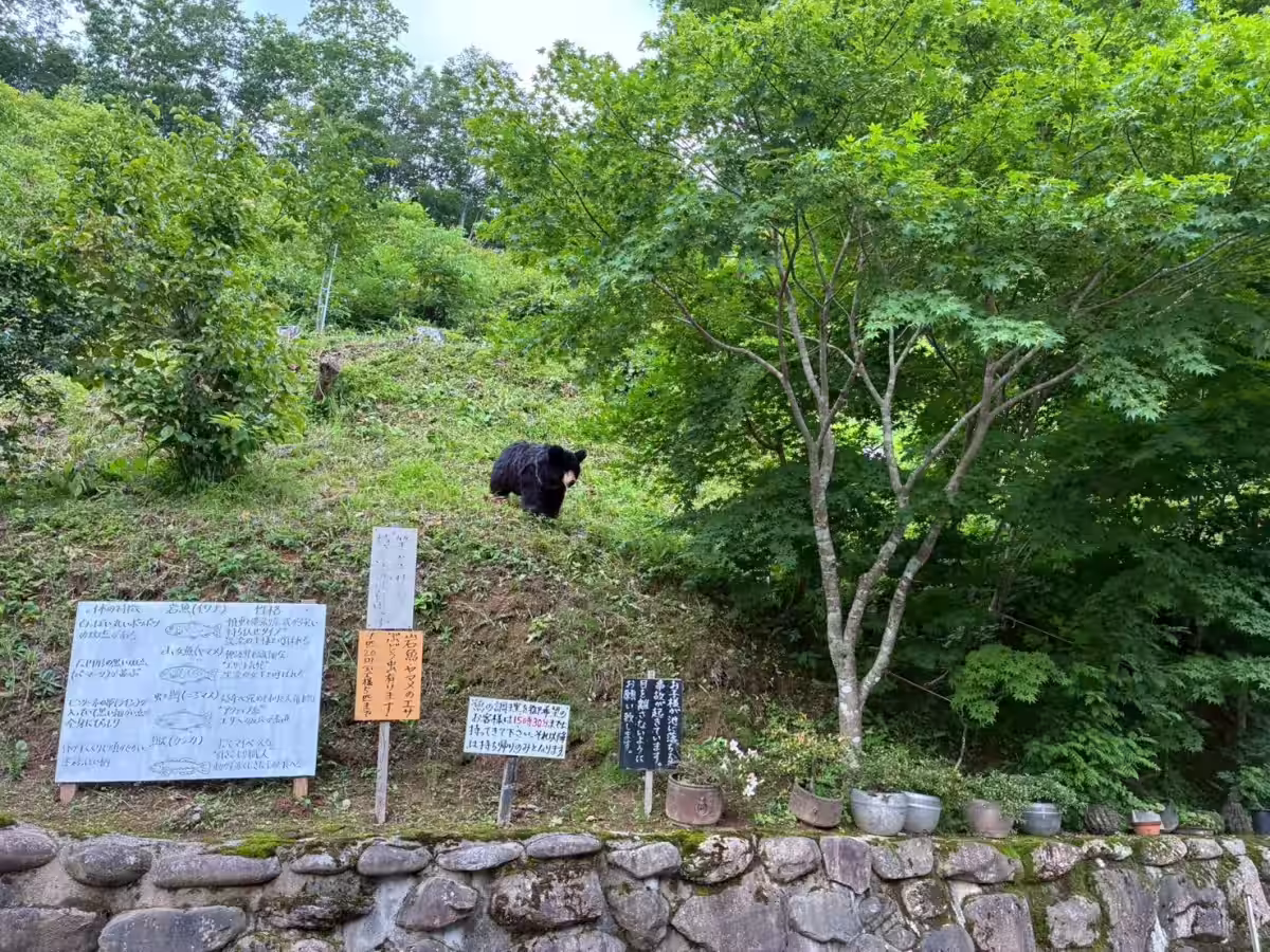 画像9