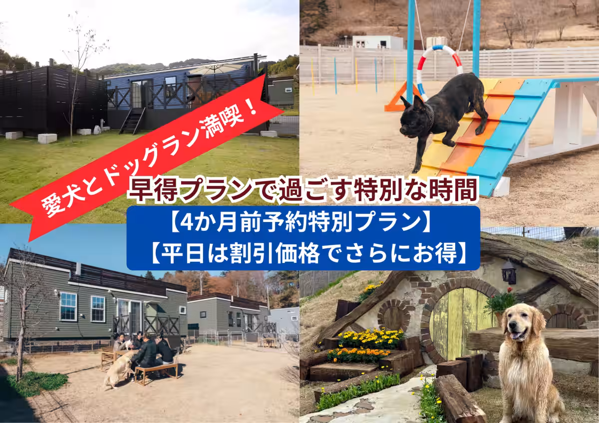 画像11