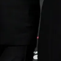ブランソンとルイ·ヴィトン