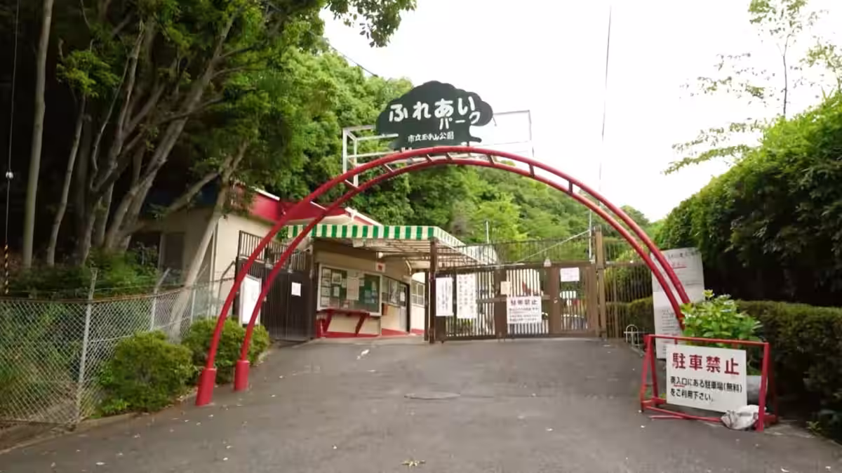画像8