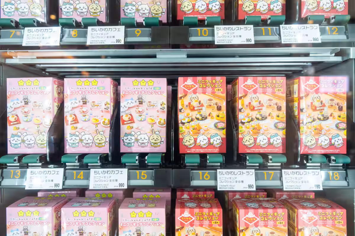 画像29