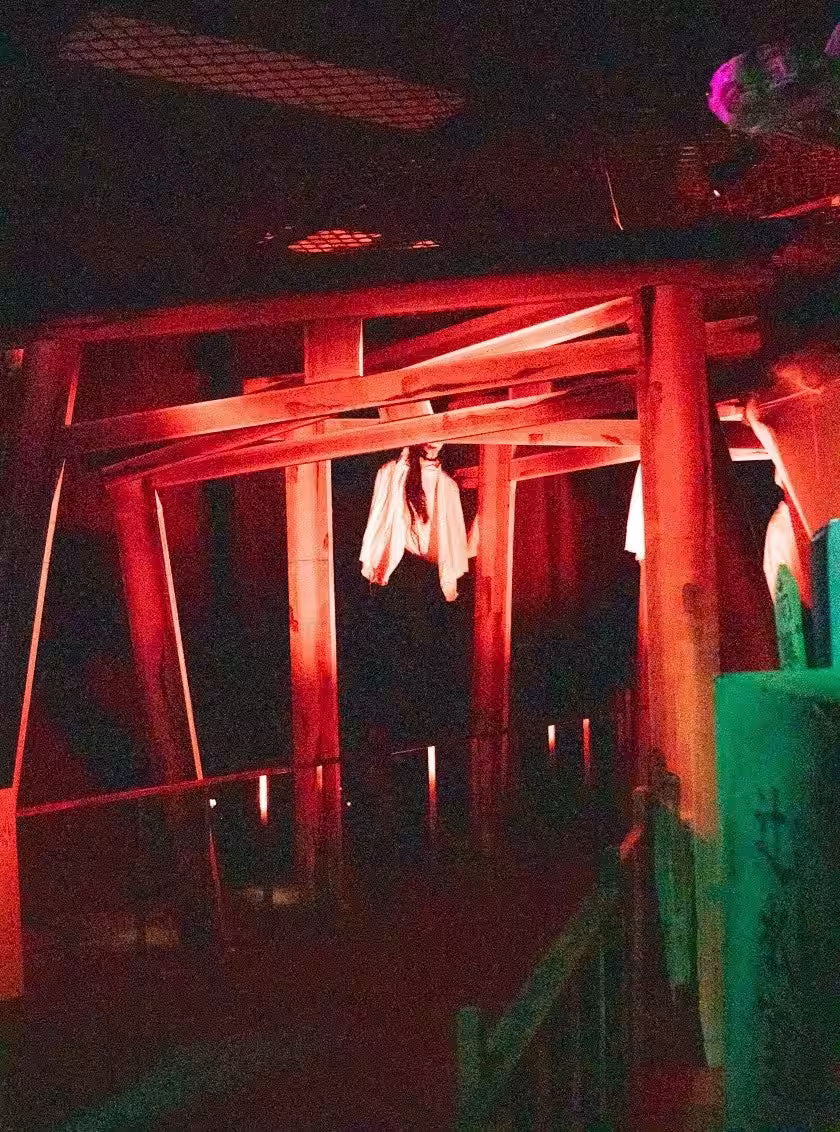 画像14