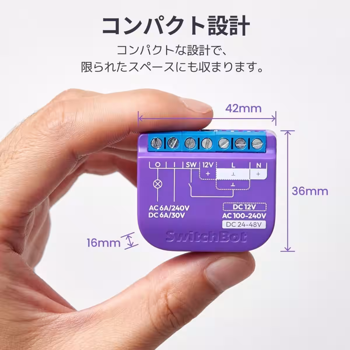 画像5