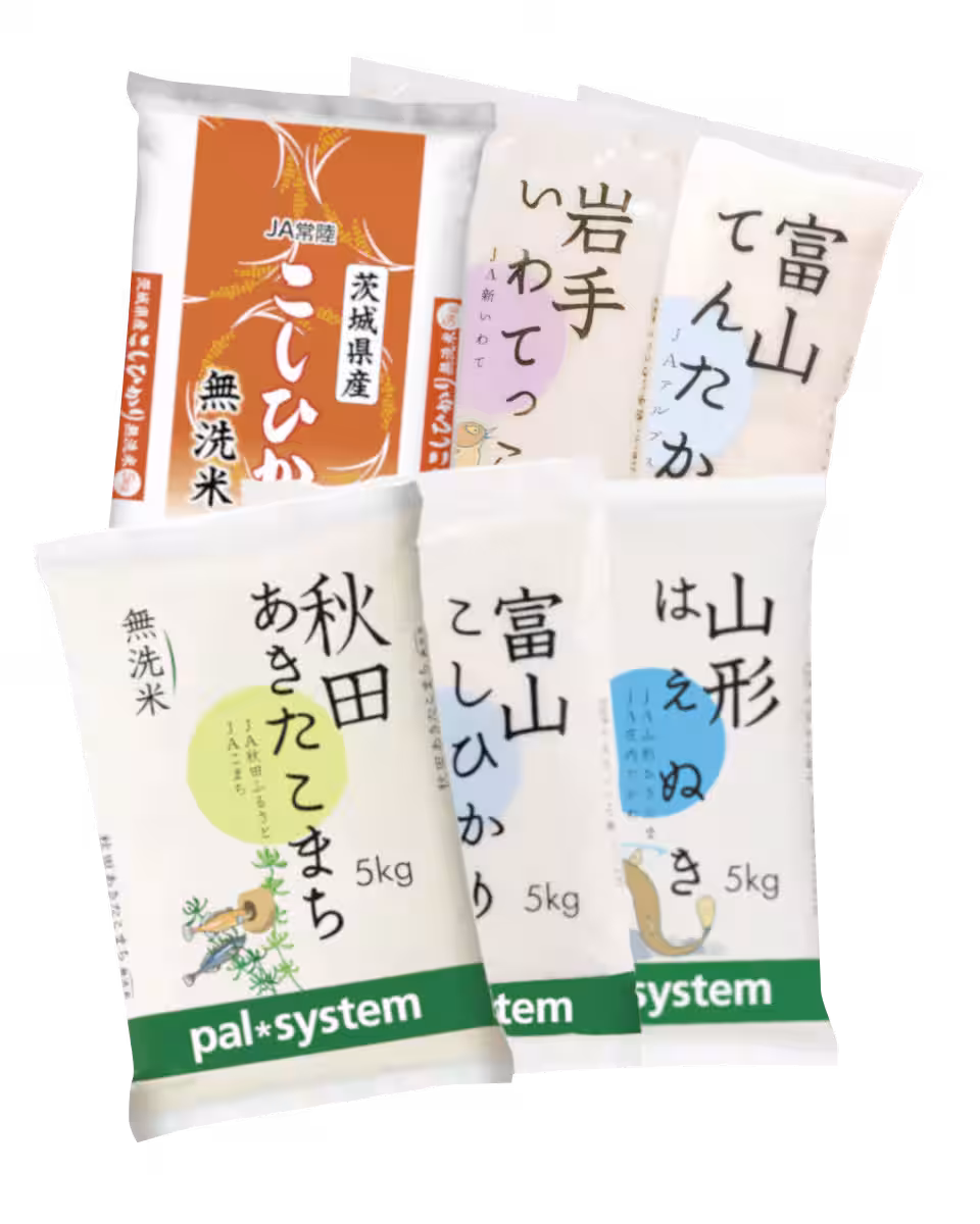 画像6