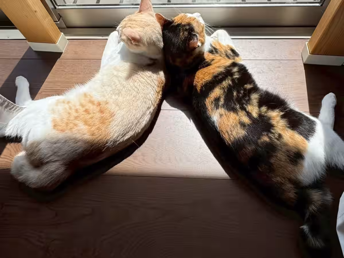画像3