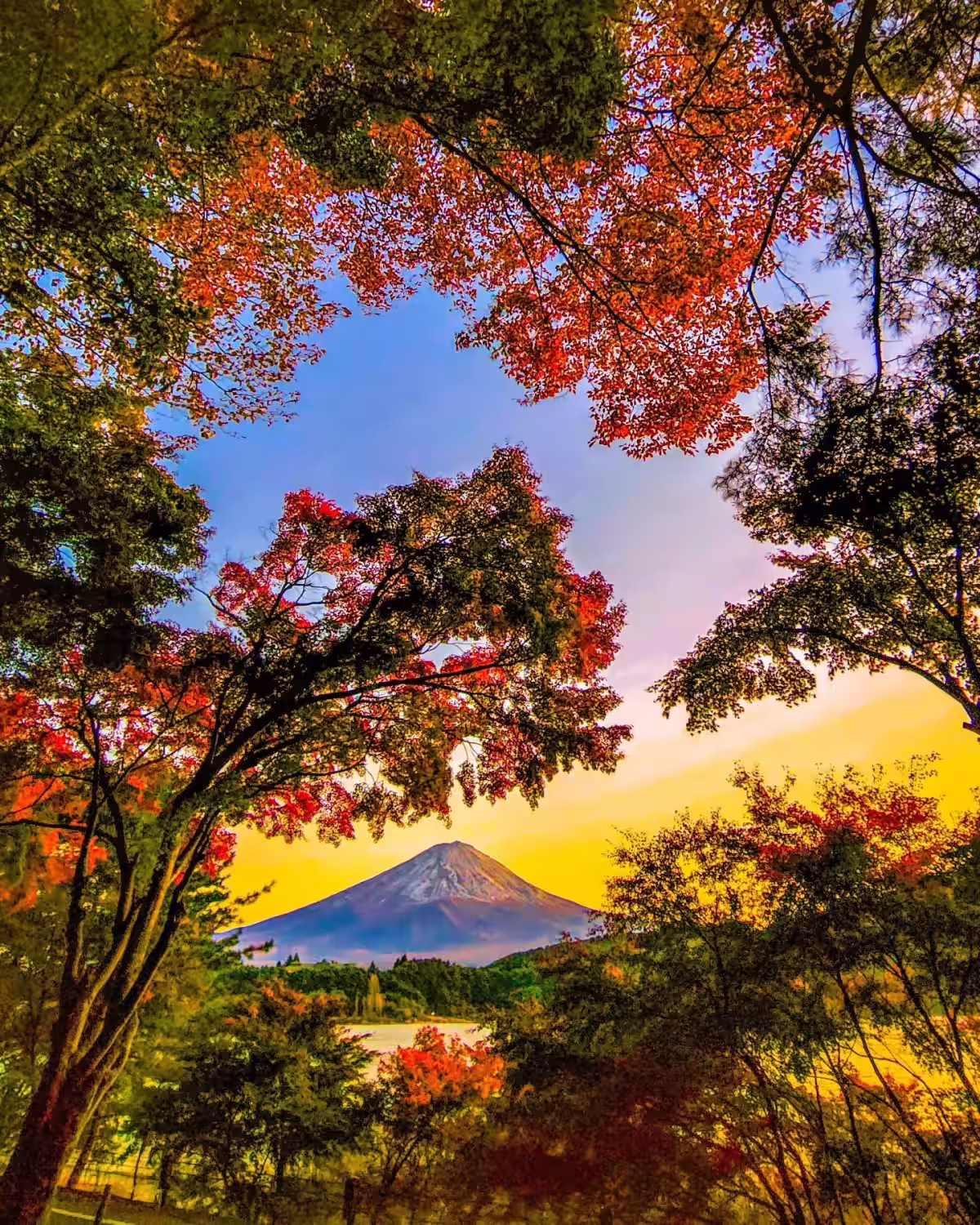 画像16