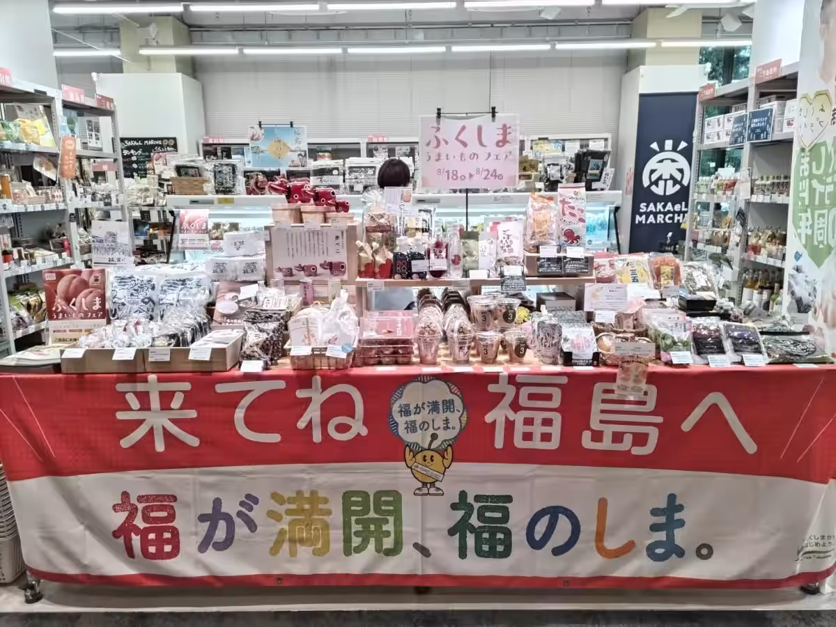 画像8