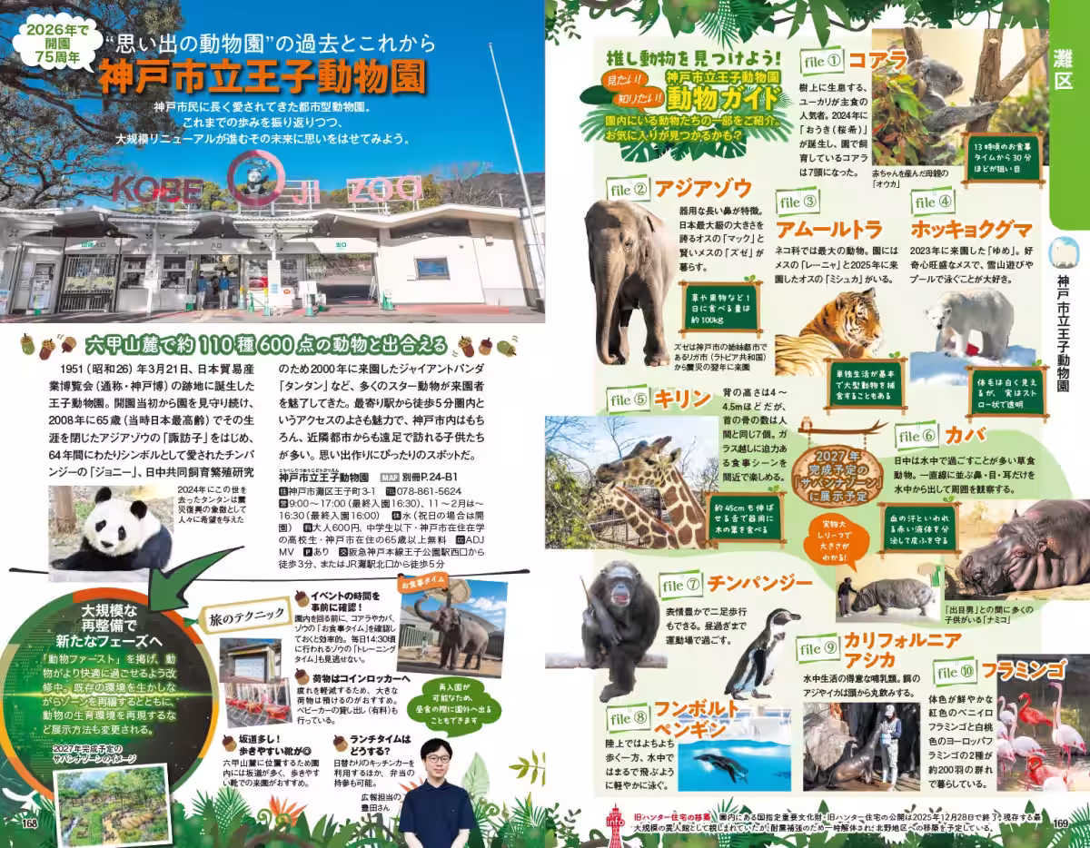 画像9