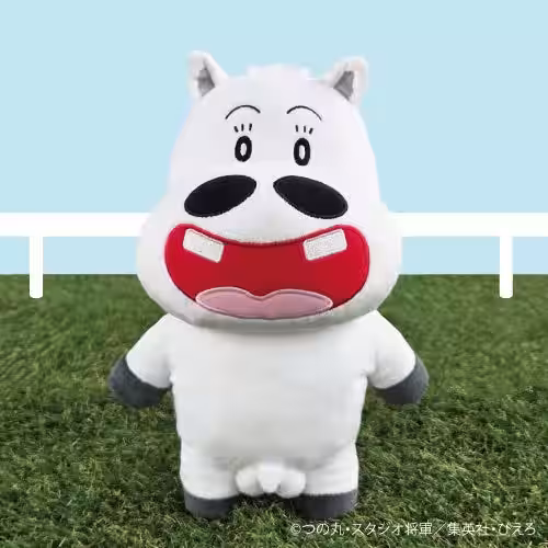 画像27