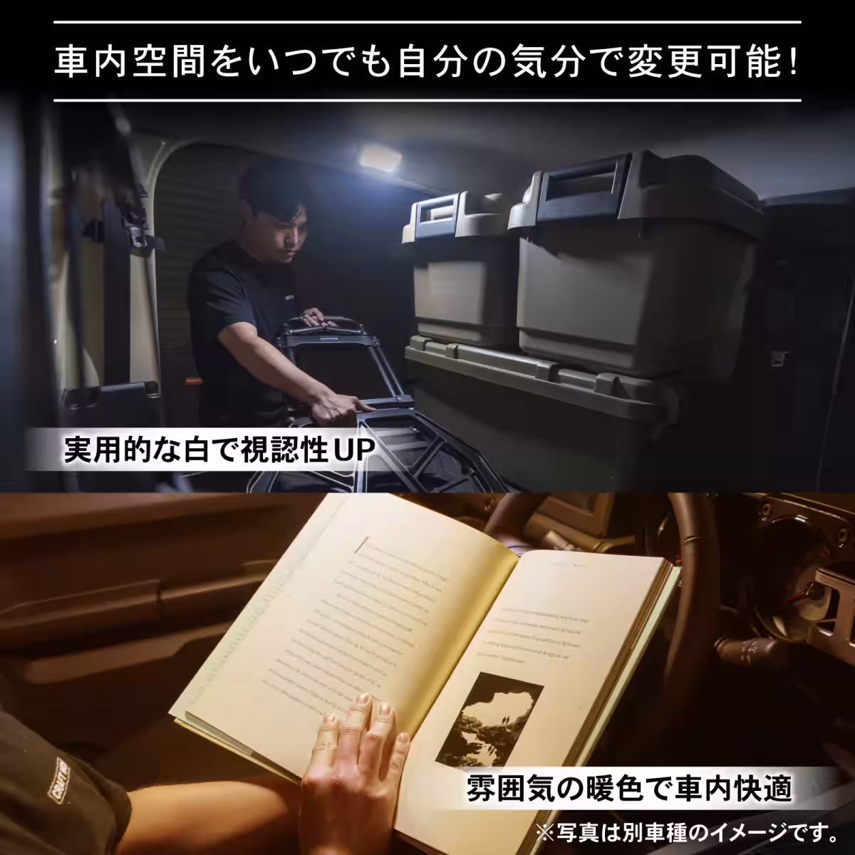 画像5