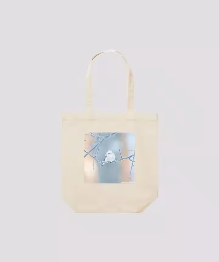 画像12