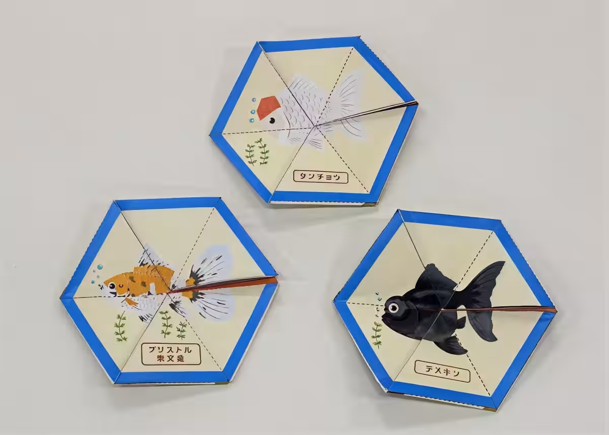 画像11