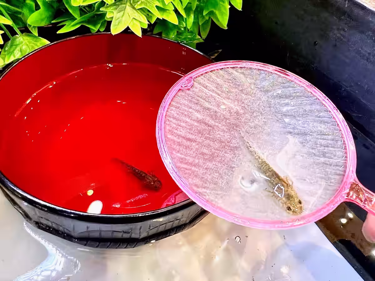 画像14