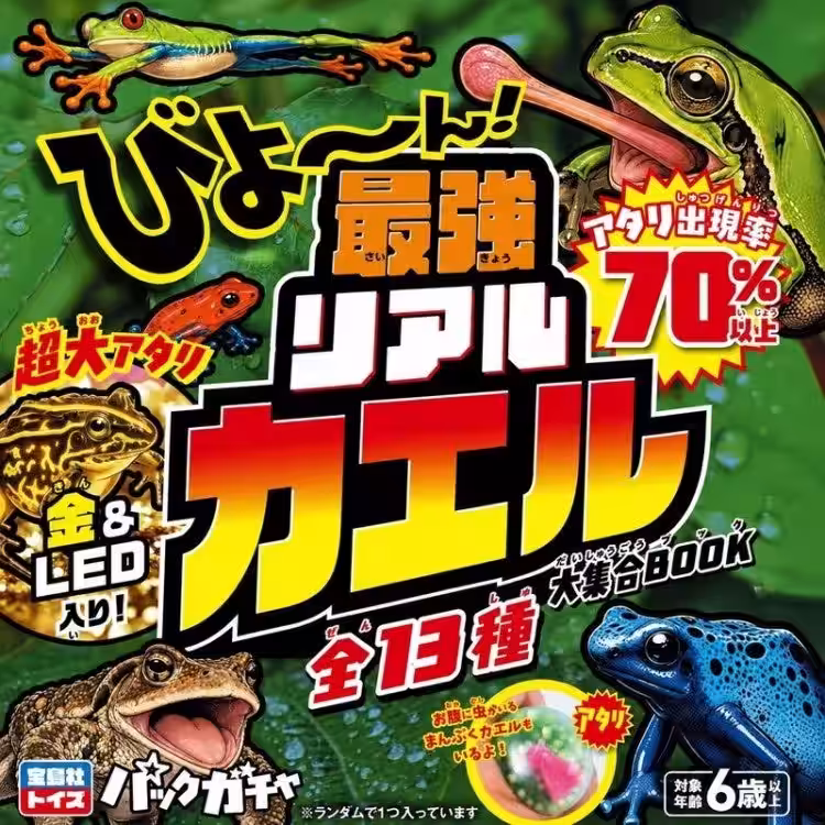 画像13