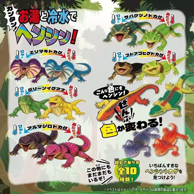 画像19