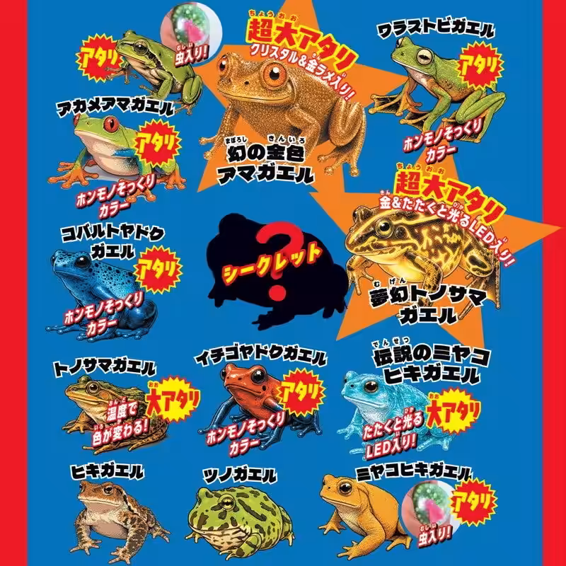 画像14