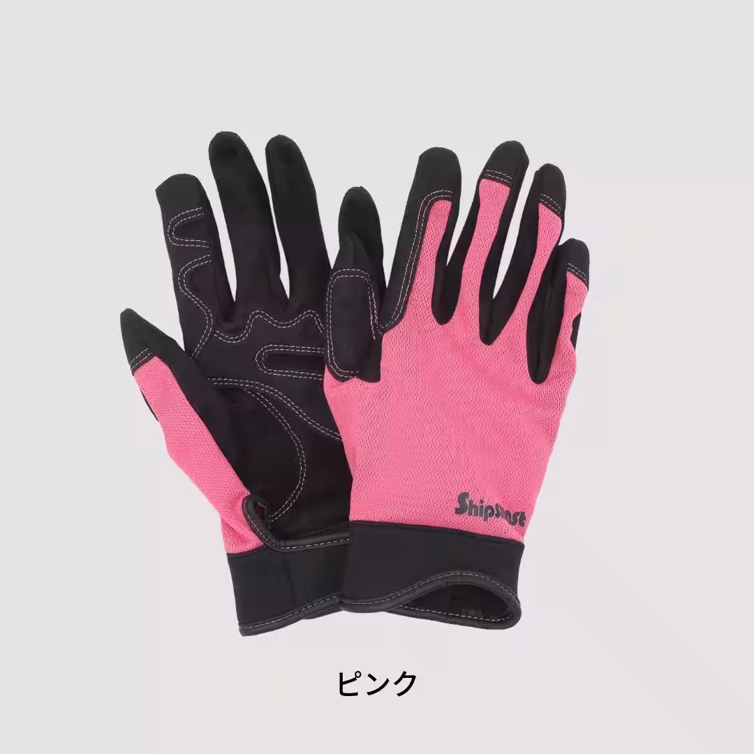 画像4