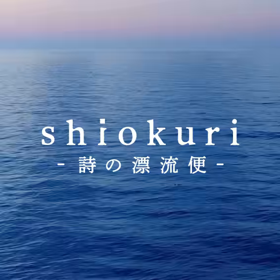 画像14