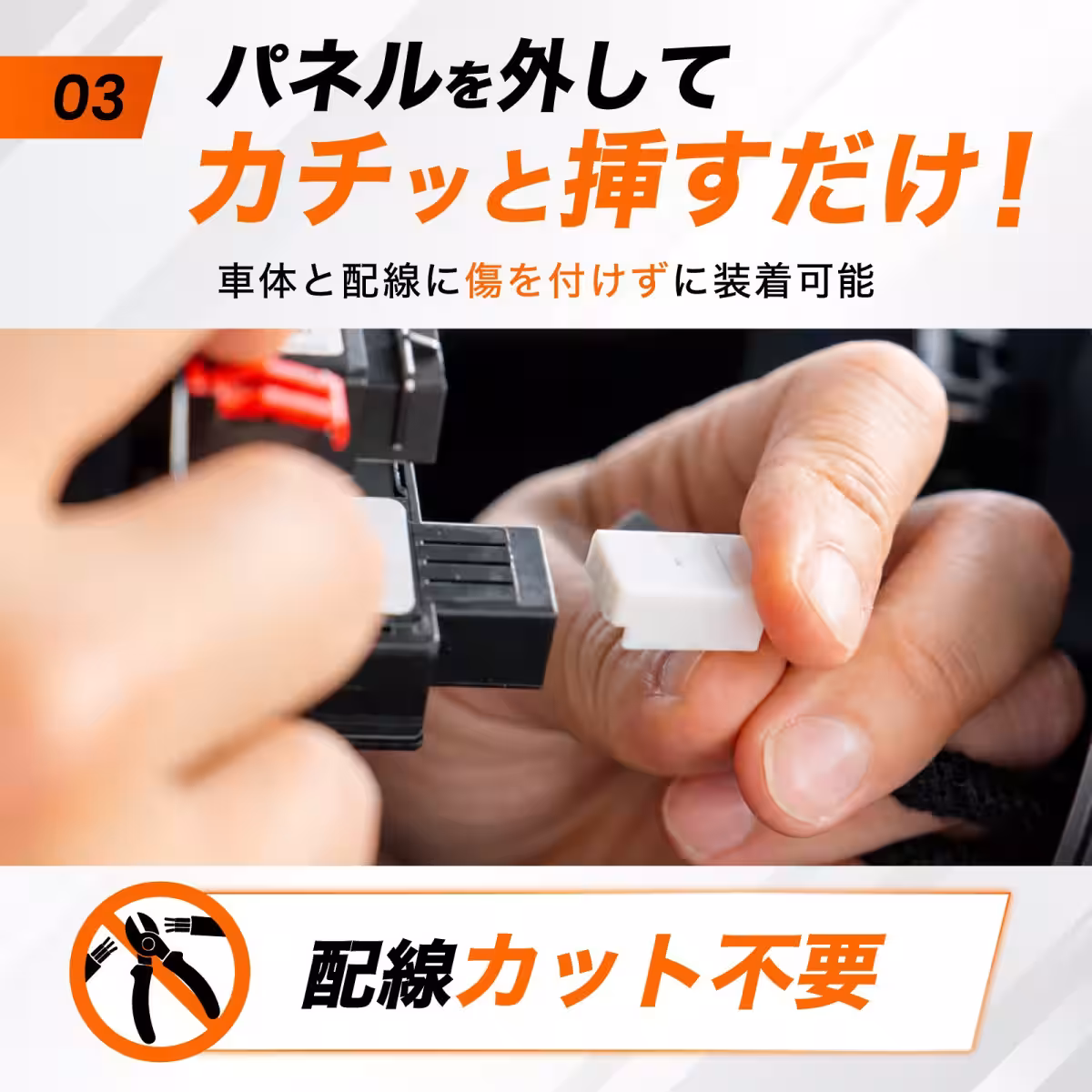 画像8